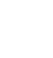 NASAM logo