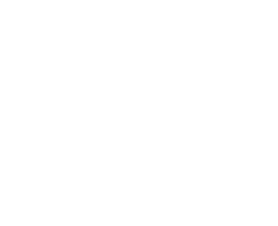 Williams company logo