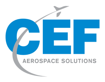 OEM-logo-CEF-page-344x268